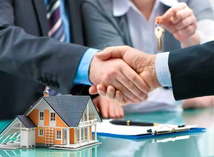 Property Consultation